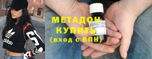 прущие грибы Горно-Алтайск