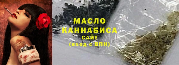 прущие грибы Горно-Алтайск