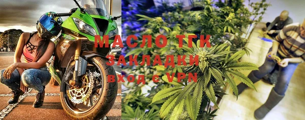 прущие грибы Горно-Алтайск