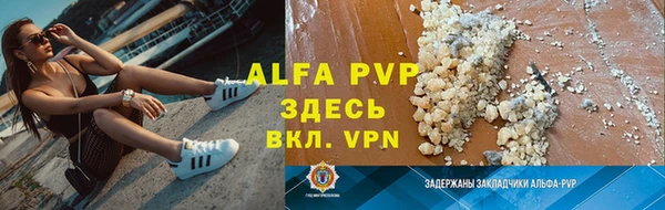 прущие грибы Горно-Алтайск