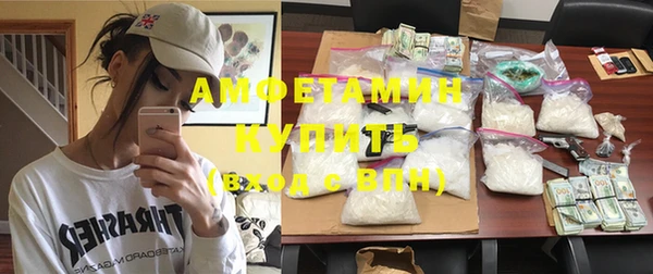 прущие грибы Горно-Алтайск
