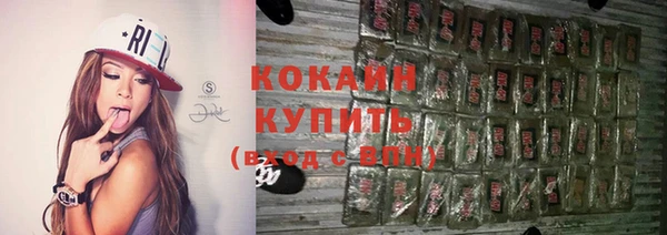 прущие грибы Горно-Алтайск