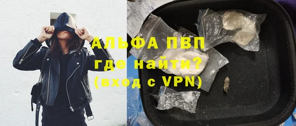 прущие грибы Горно-Алтайск