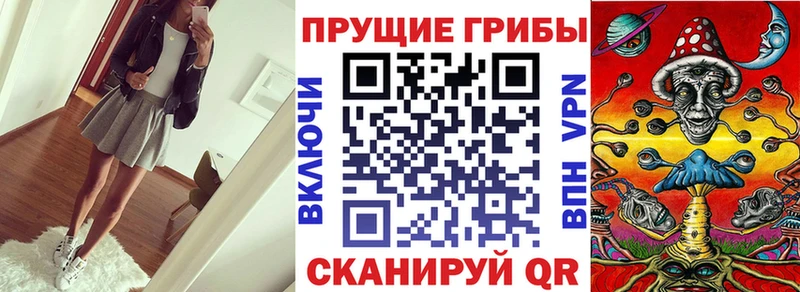 Купить  Новошахтинск  Псилоцибиновые грибы мицелий 